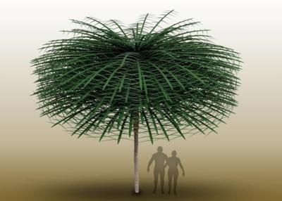 Tropical New Brunswick home to Dr. Seuss-like tree from around 350 million years ago
