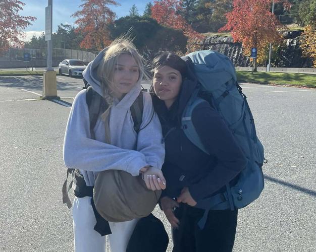 Australia announces cull of dingoes that circled ��ɫtv woman's body on beach