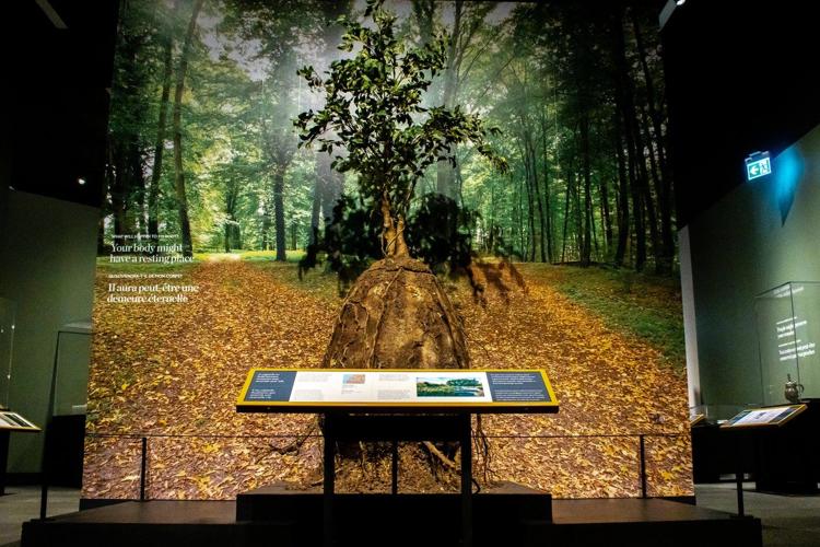 'Death is everywhere:' Alberta art exhibit on mortality is actually full of life