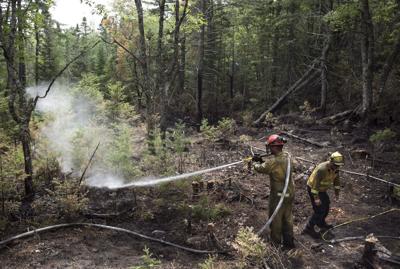 Forest fire in Musquodoboit Harbour prompts evacuation of community in Halifax area