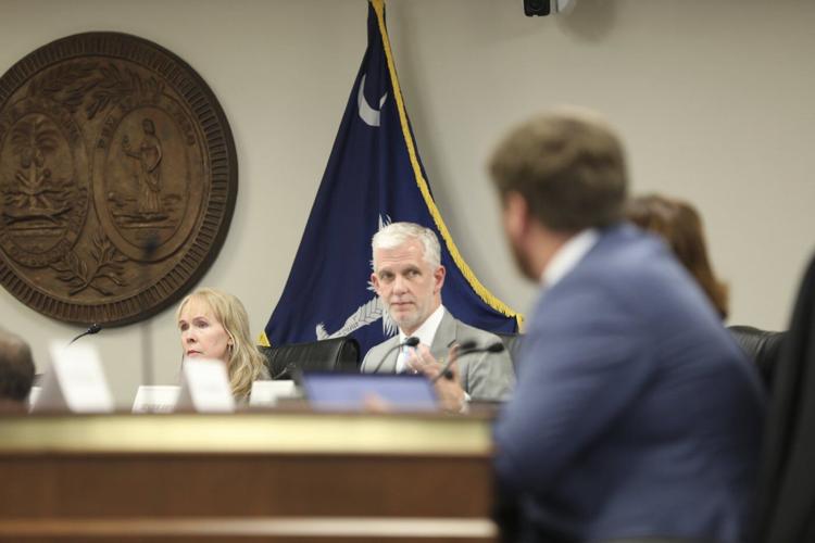 Changes in how lawsuits are handled in South Carolina split parties