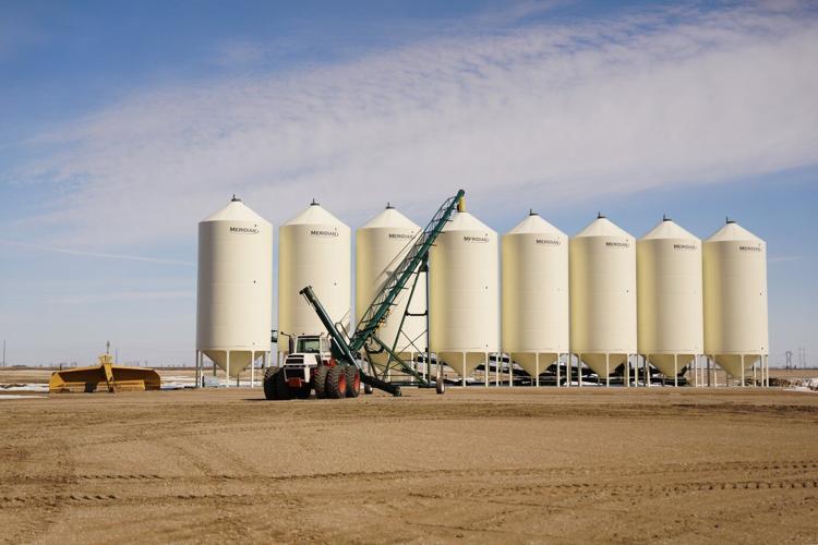 From soggy fields to skyrocketing diesel, Prairie farmers face tough harvest