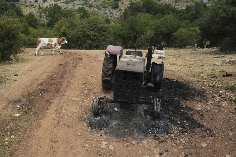 Water tanks replace springs on a Serbian mountain as drought endangers some 1,000 cows and horses