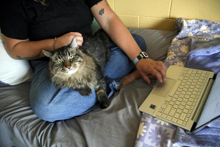 Photos of pets in dorms: Colleges are welcoming animals to help students feel at home