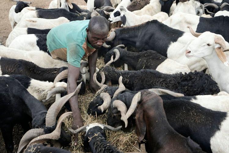 Muslims look forward to the annual Eid feast. Many Africans are now struggling to afford it