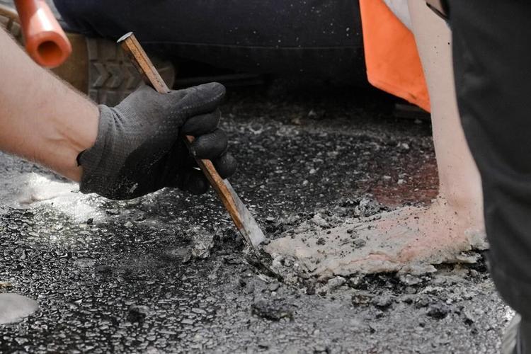 German chancellor calls some climate activists' protests 'nutty'