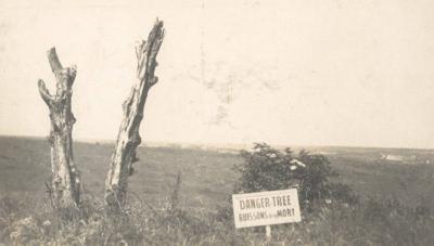 Danger tree installation in France marks 'futility of loss' for Newfoundland Regiment