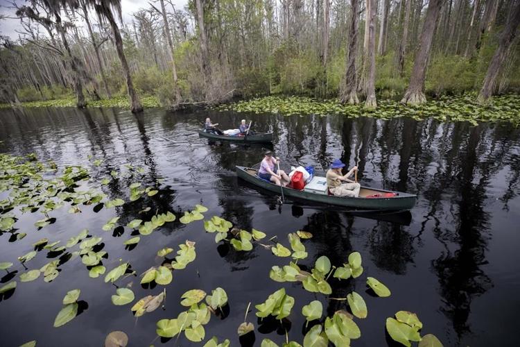 U.S. agency sued over hands-off decision on Okefenokee mine