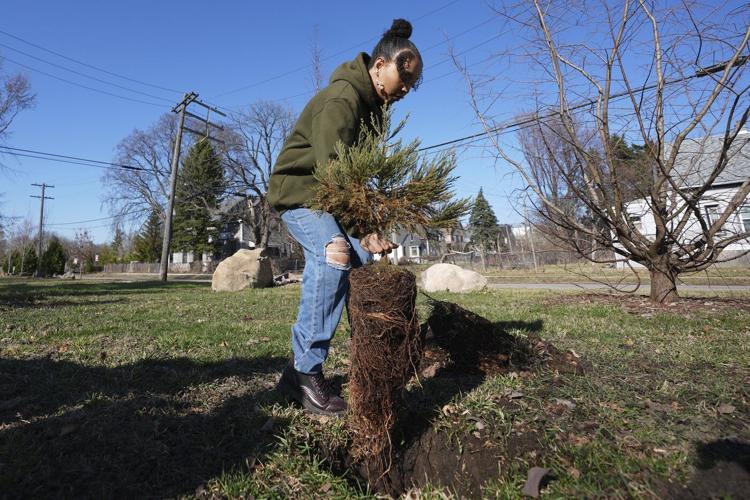 A sequoia forest in Detroit? Plantings to improve air quality and mark Earth Day