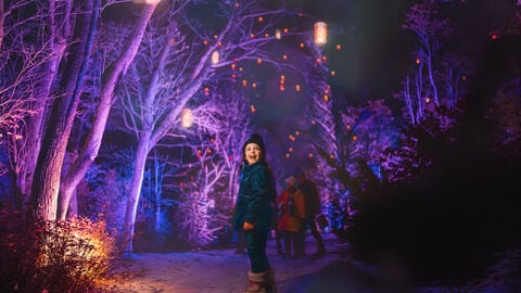 RBG's Winter Wonders Returns with Beloved Traditions and New Seasonal Installations