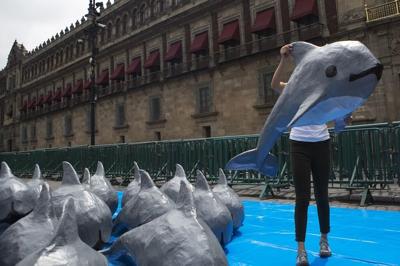 Group bans some trade with Mexico over endangered porpoise