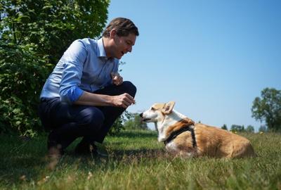 B.C. shells out $12M for four new animal shelters across province as demand rises