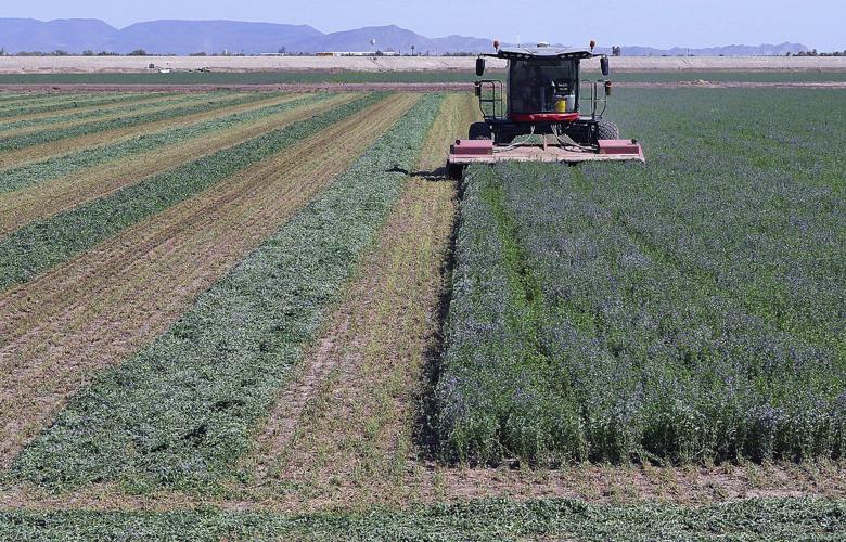 Arizona AG sues Saudi firm over 'excessive' groundwater pumping, saying it's a public nuisance