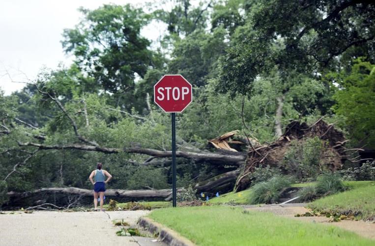 Heat wave triggers big storms, power outages in US Southeast, raises wildfire concerns in Southwest