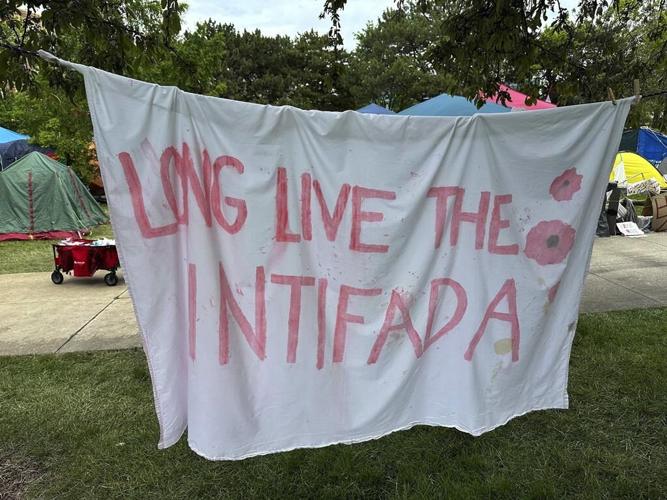 Police dismantle pro-Palestinian camp at Wayne State University in Detroit
