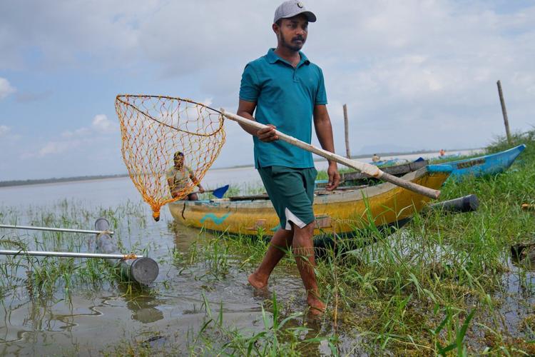 Sri Lankan freshwater fishers keen to turn invasive species threat into an opportunity