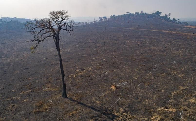 Study: Don't blame climate change for South American drought