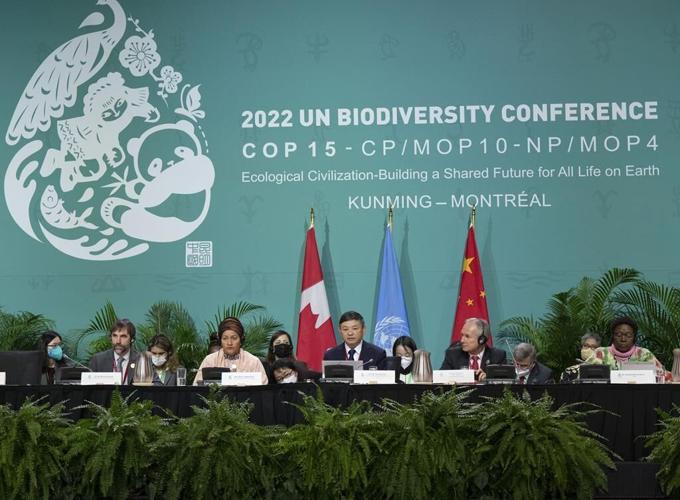 Environment ministers try to get Montreal biodiversity talks on track in final days