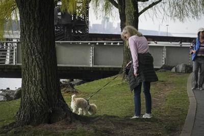 Scooby doobie don't: Discarded joints pose hazards for dogs