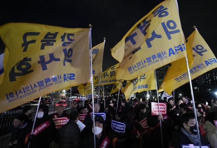 South Korean doctors rally against government plans to increase the number of medical students