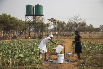 Food aid interventions can curb climate change-induced hardship. But should they do more?