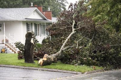 Weather-related home repairs highest in Atlantic Canada: HomeStars survey