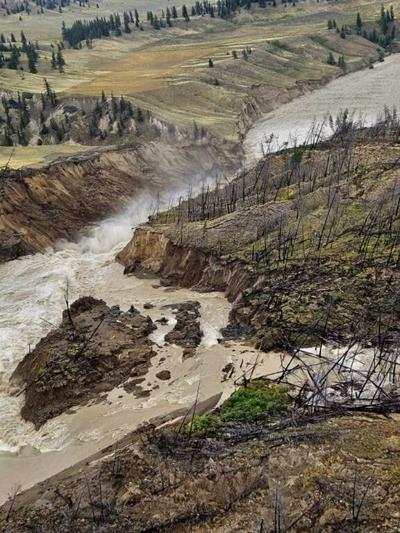 C.-B.: le gouvernement cherche à aider les saumons à remonter la rivière Chilcotin