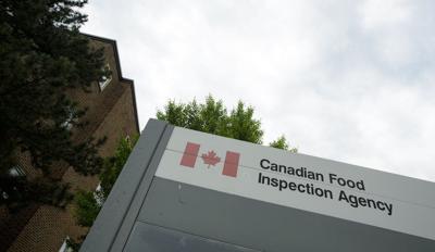 Jean Perrin brand cheese recalled for E. coli: ɫֱ Food Inspection Agency