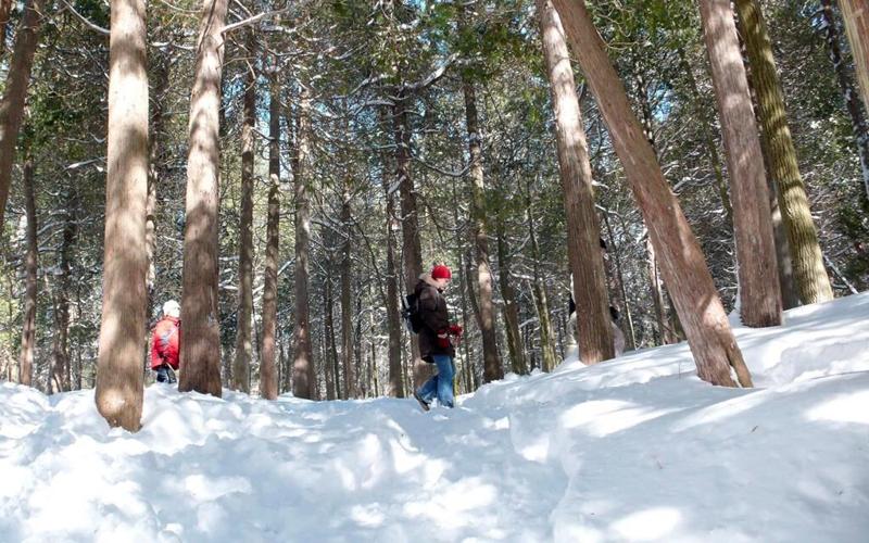 Ontario auditor general finds Niagara Escarpment protections lacking
