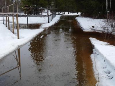 B.C. agrees to pay $300,000 to couple who say logging flooded their property