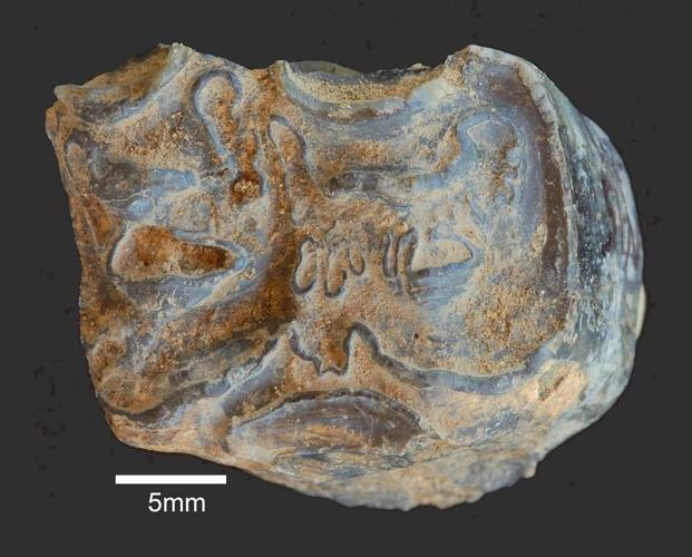 Stone Age discovery fuels mystery of who made early tools