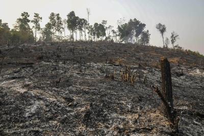 As Thailand gasps through another haze season, researchers hope a fire-charting app can help