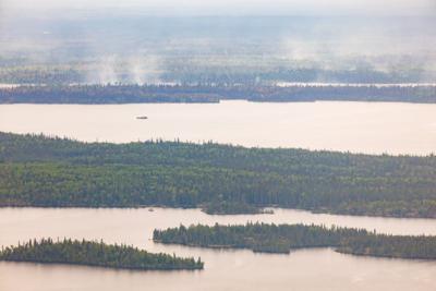From scattered sunlight to dozy bees, smoky days challenge Canada's food growers