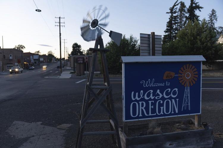 Some Democrats want new leadership. Oregon Sen. Ron Wyden says he has what it takes to resist Trump