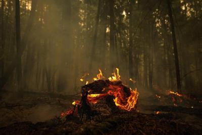 Evacuation defiance threatens B.C. wildfire fight, minister says, as rain raises hope