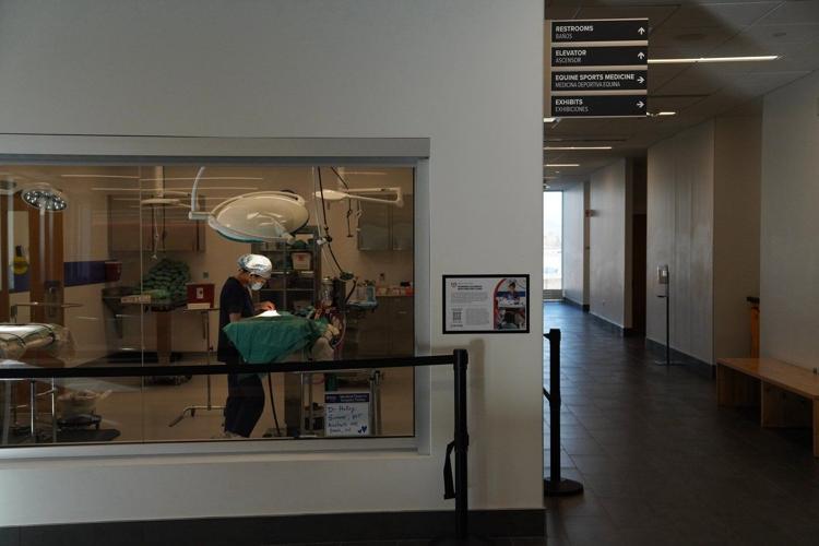 How sewage can be used to heat and cool buildings