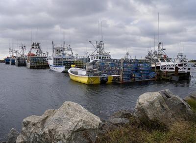 Mi'kmaq chiefs in Nova Scotia reject latest federal offer for a livelihood fishery