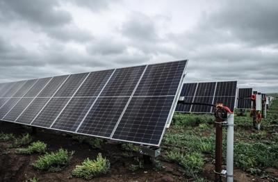 Poll suggests two-thirds of Albertans oppose pause on renewable energy approvals