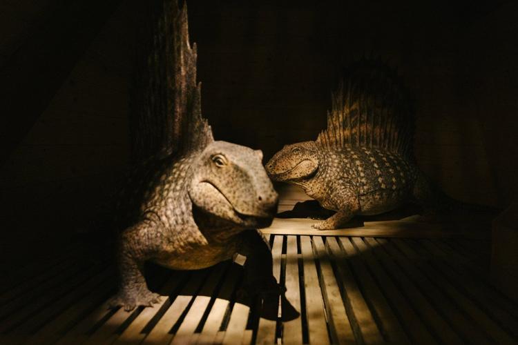 Takeaways from AP's report on creationist beliefs 100 years after the Scopes trial