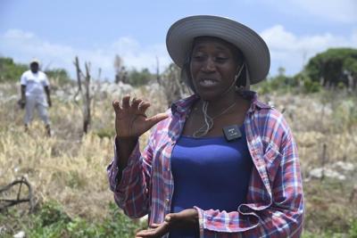Jamaica's female farmers rebuild after Hurricane Beryl through women-led cash voucher program