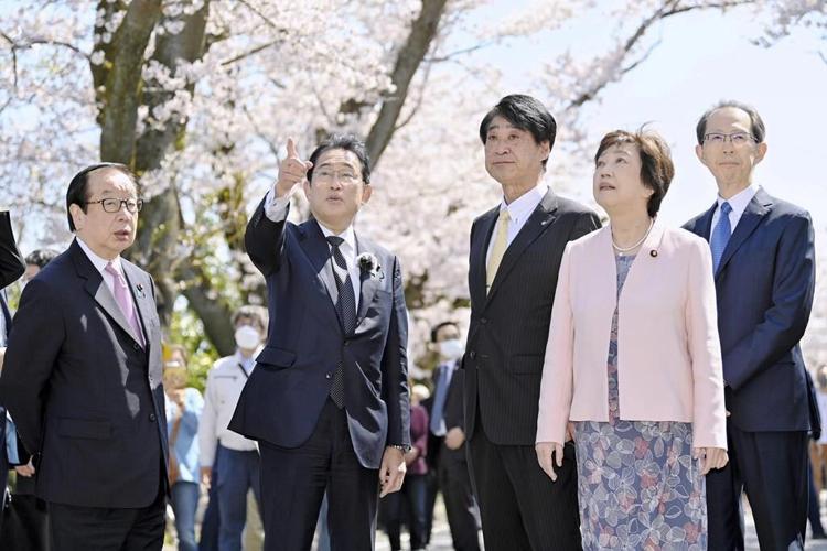 Small areas reopen near Fukushima nuclear plant, few return