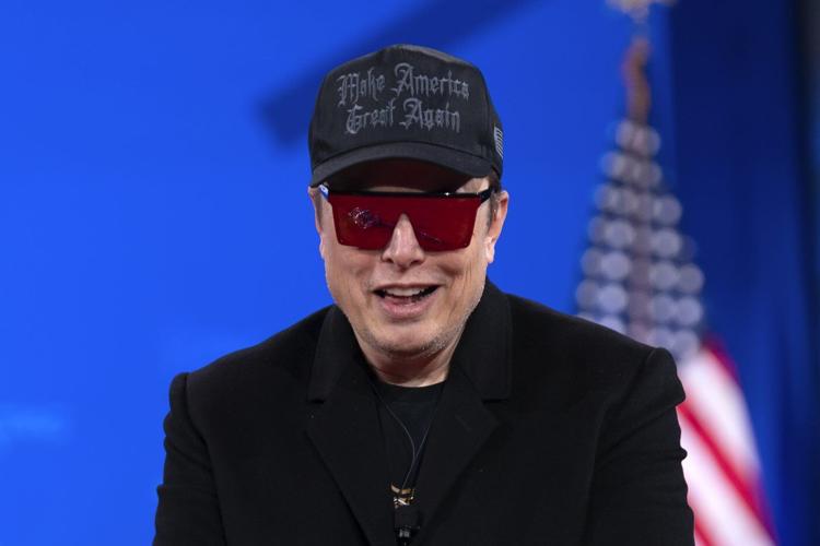 PHOTO COLLECTION: Elon Musk Protests