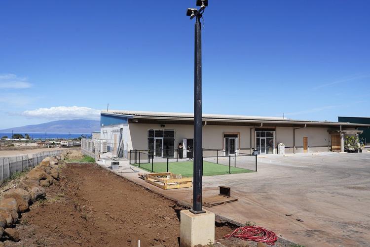 Takeaways from our collaboration on youth mental health after the Maui wildfires