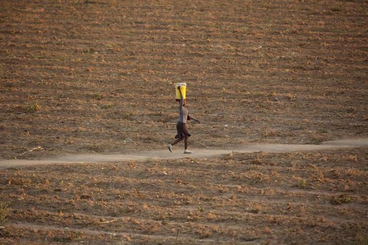 2.7 million Zimbabweans need food aid as El Nino compounds a drought crisis, UN food program says