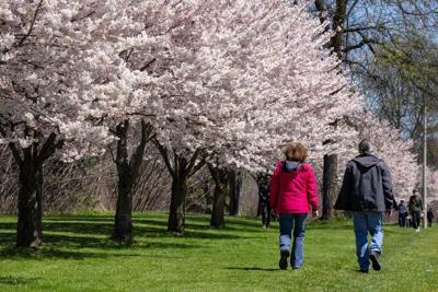 Tourism sector rolls out road map to boost visitor numbers to pre-pandemic levels