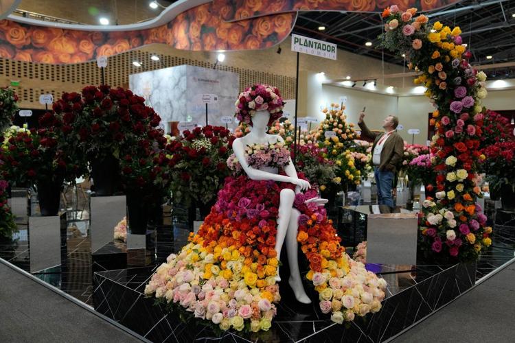 Protests in Peru, a soccer fan poses and more top photos this week from Latin America