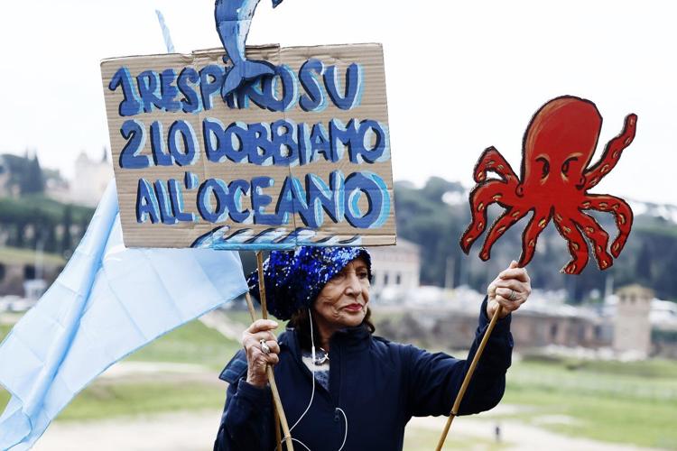 In Rome, talks to protect Earth's biodiversity resume with money topping the agenda