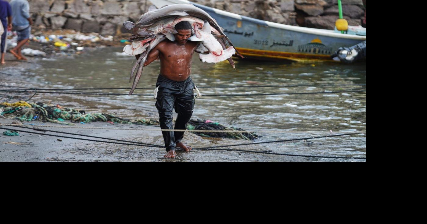 Daily life around the world, in photos | World News ...