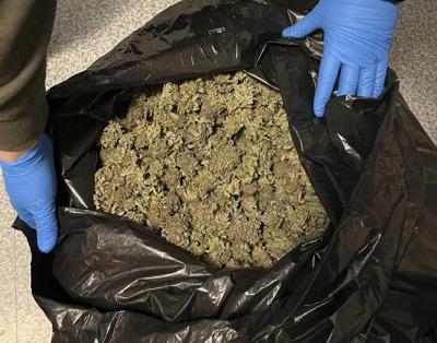 Marijuana grow busted in Maine as feds investigate trend in 20 states