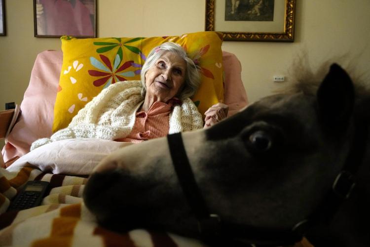 Greece's only miniature therapy horses bring joy to many, but their charity is struggling